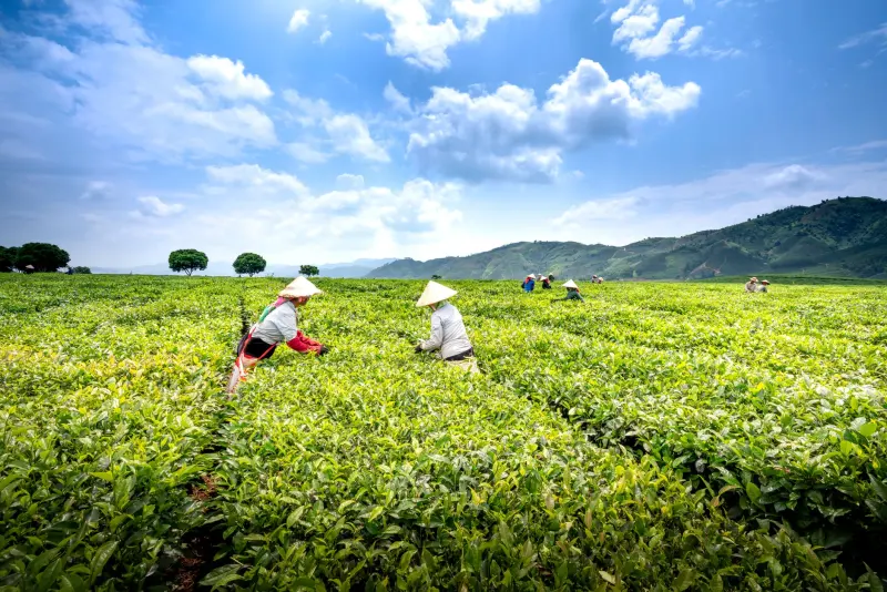 南宁中小企业投资可行性报告编制要点与常见误区分析