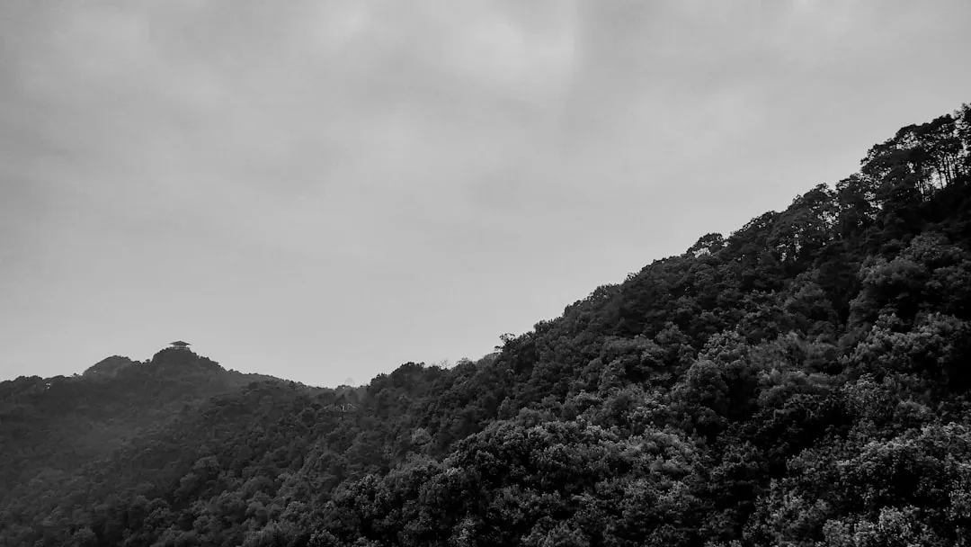 投资可行性报告编制全流程解析：从数据采集到风险评估落地封面图
