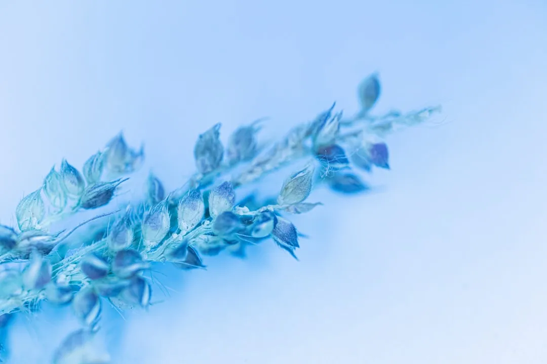 南宁智原启商务信息咨询：投资可行性报告在中小企业融资中的应用要点