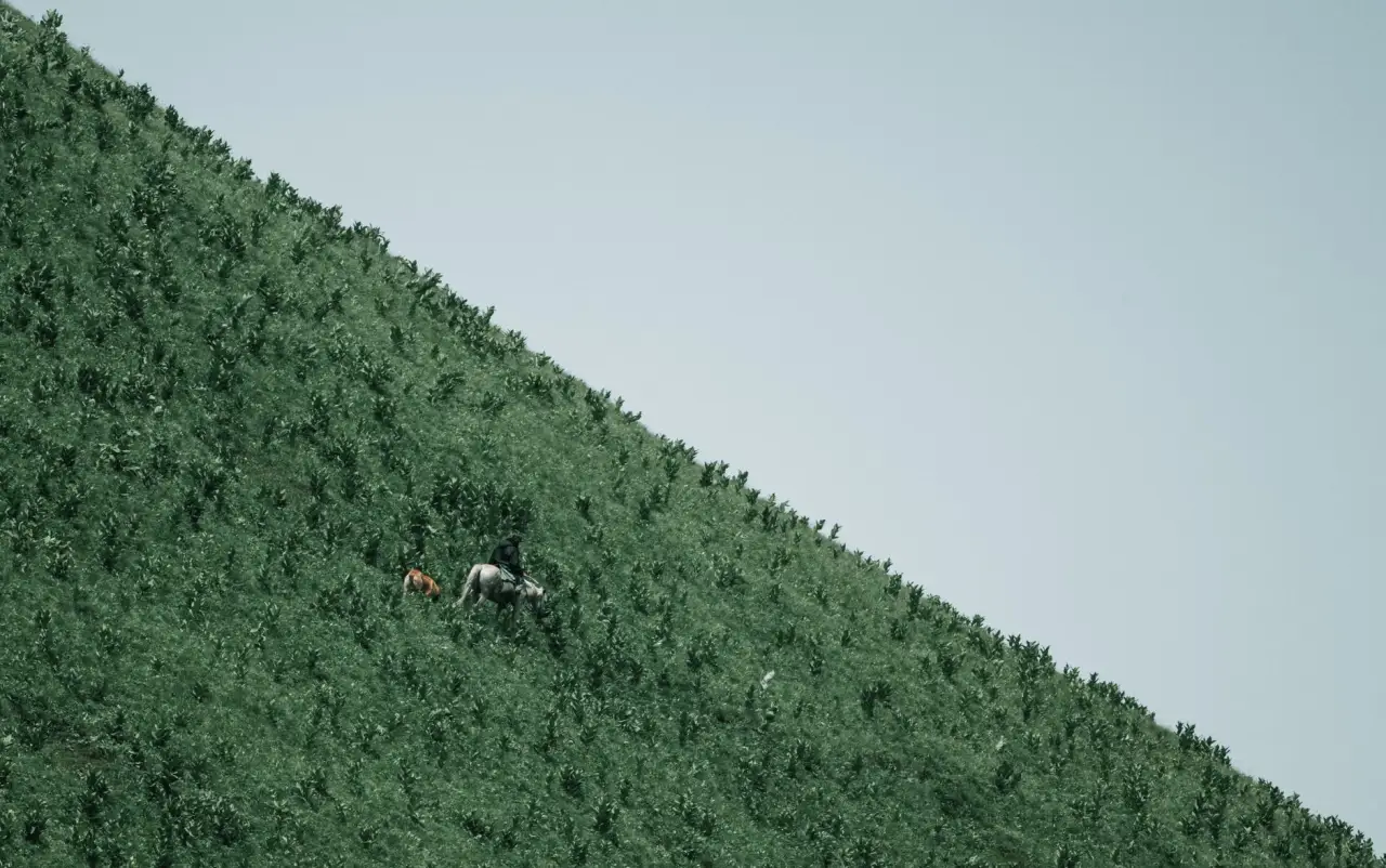 投资可行性报告与风险评估报告的技术框架对比分析