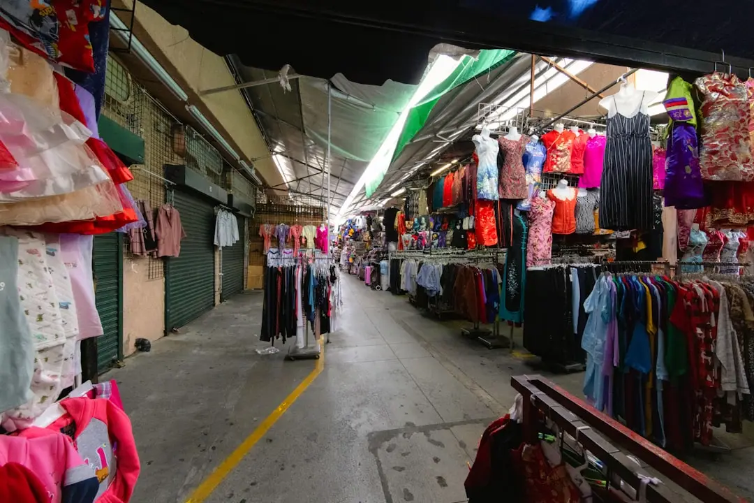 投资可行性报告与商业计划书：关键差异与撰写策略