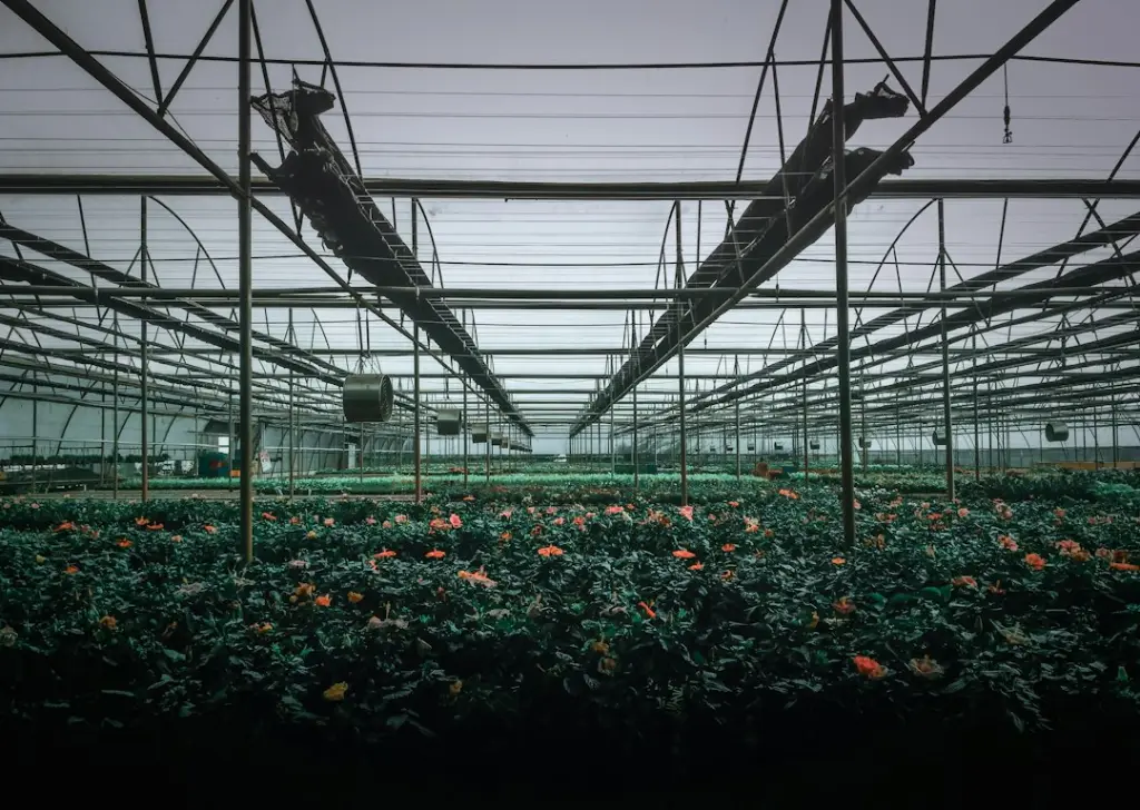 南宁中小企业投资可行性报告编制要点与风险评估方法解析正文配图 1