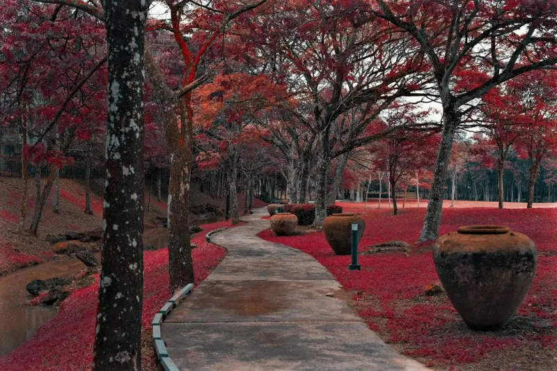 中小企业项目建议书常见误区与南宁本地化编写要点